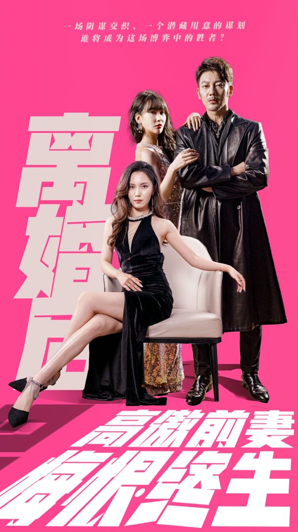 离婚后高傲前妻悔恨终身的海报