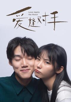 替嫁娇妻2-爱逢对手的海报