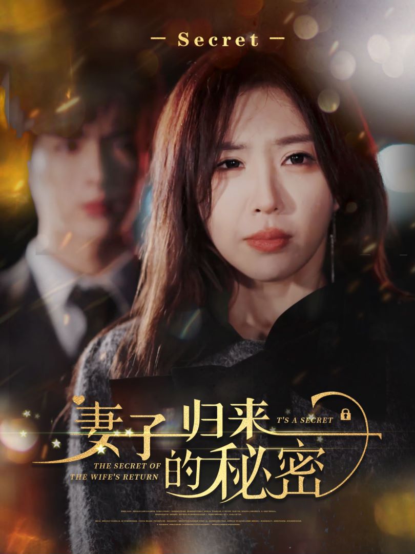 妻子归来的秘密的海报