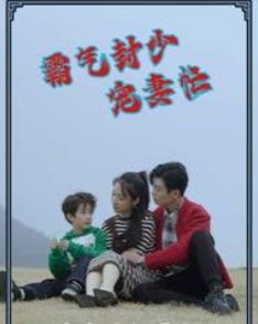 霸气封少宠妻忙的海报