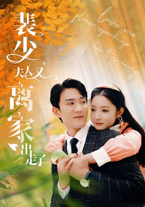 裴少，夫人又离家出走了的海报