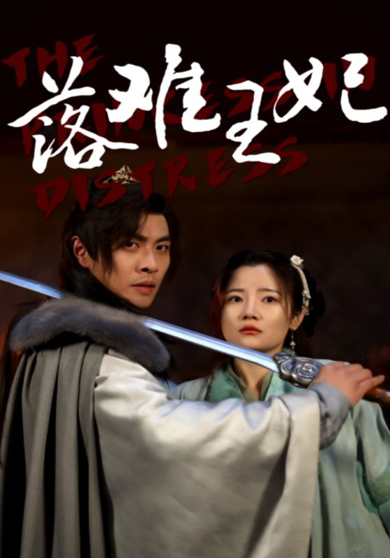 落难王妃的海报