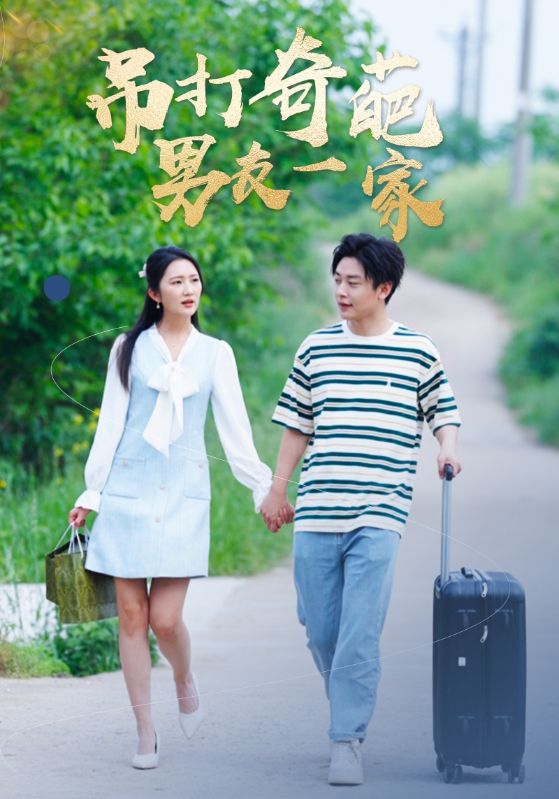 吊打奇葩男友一家的海报