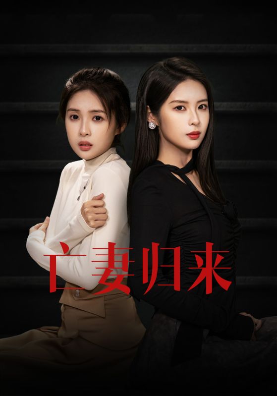 亡妻归来的海报