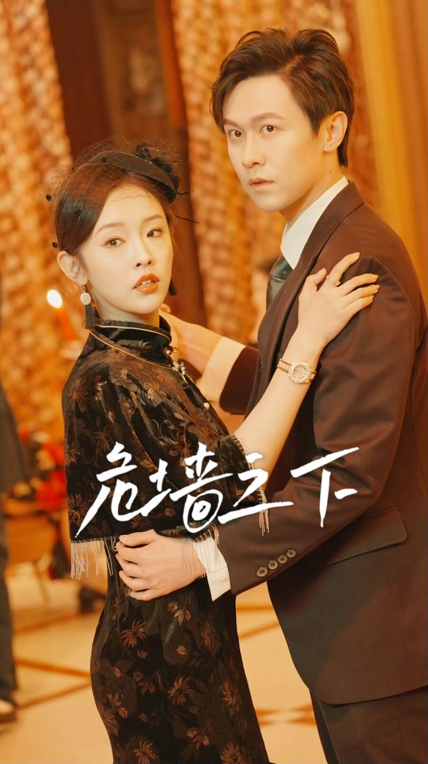 危墙之下的海报