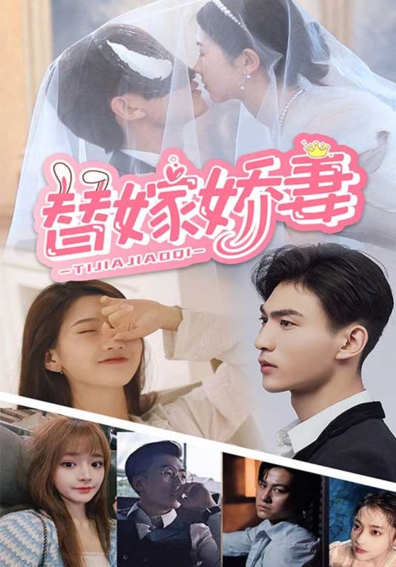 替嫁娇妻的海报