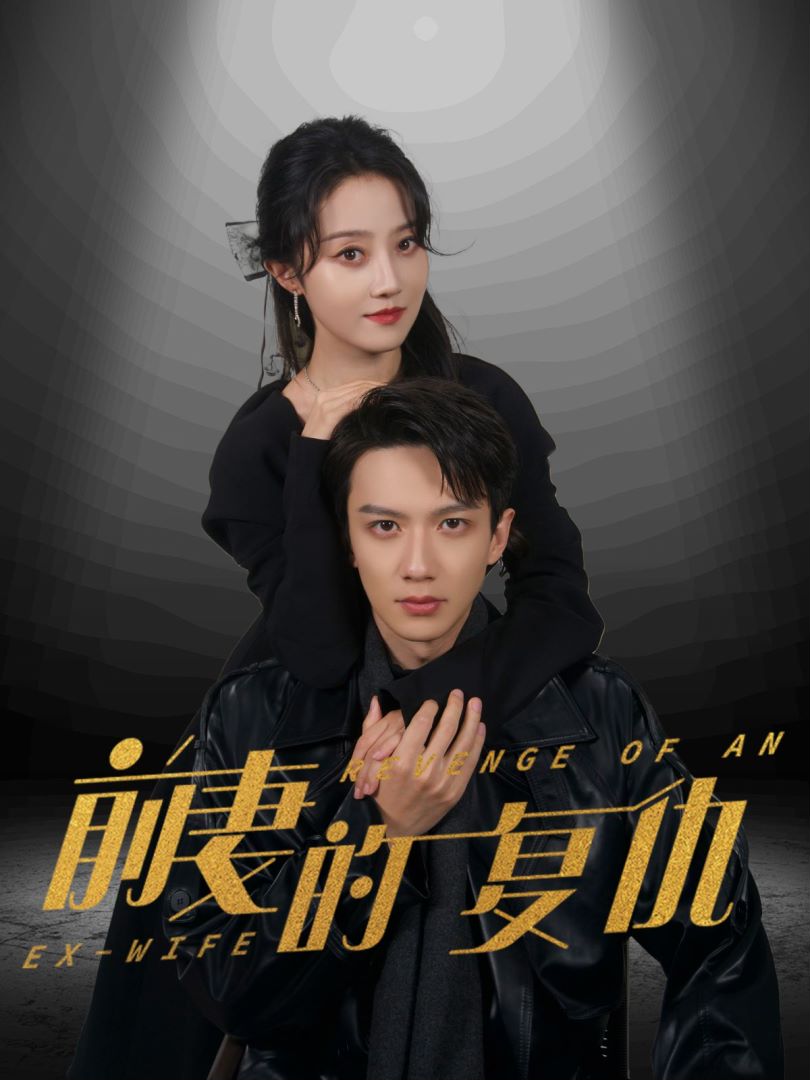 前妻的复仇的海报