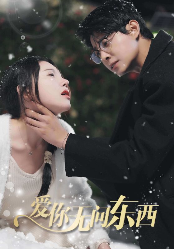 爱你无问东西的海报