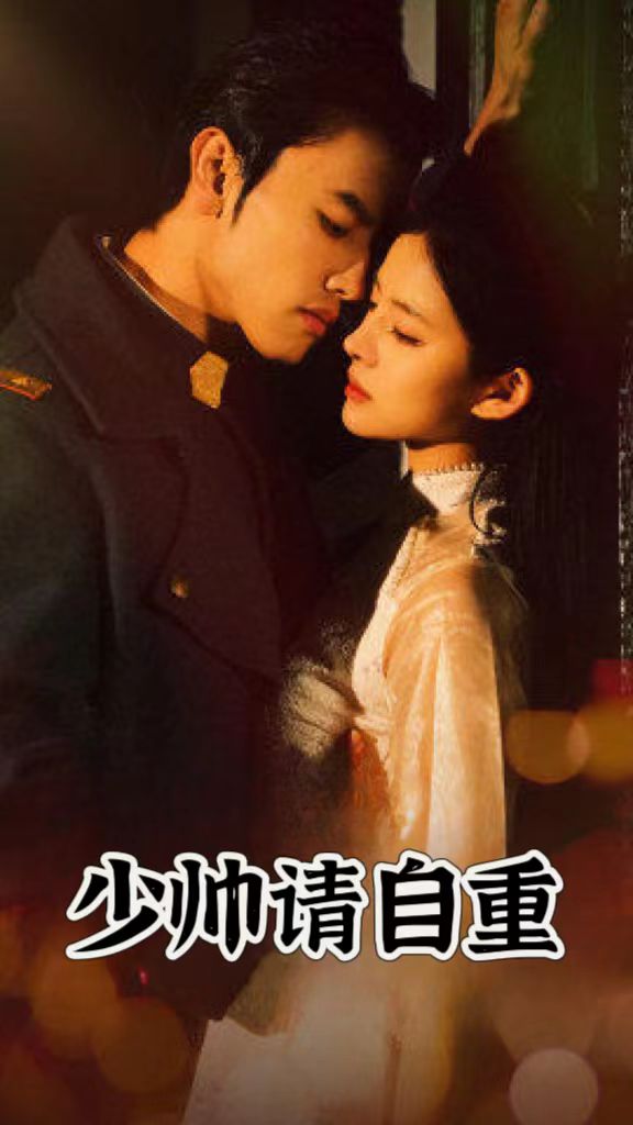 少帅，请自重的海报