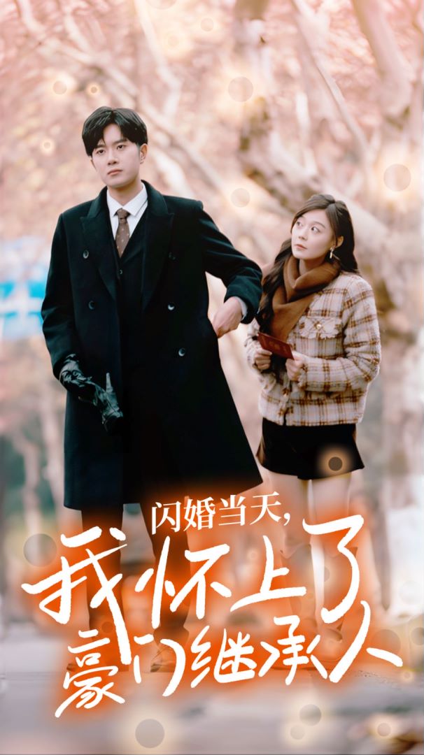 闪婚当天，我怀上了豪门继承人的海报