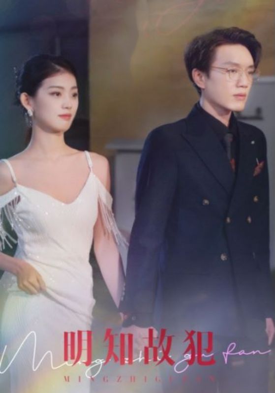 明知故犯的海报