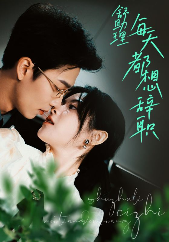 舒助理每天都想辞职的海报