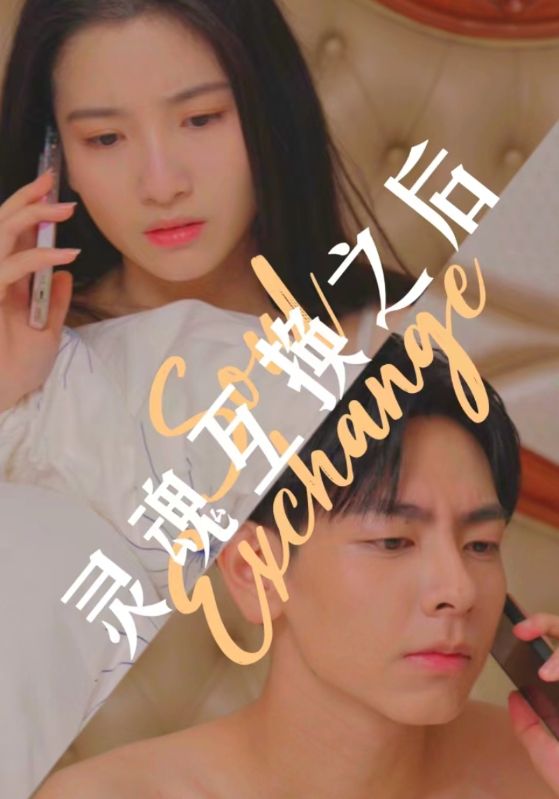 灵魂互换之后的海报