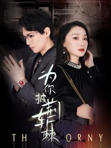 为你披荆斩棘的海报