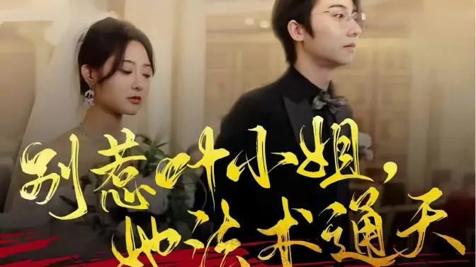 别惹叶小姐，她法术通天的海报