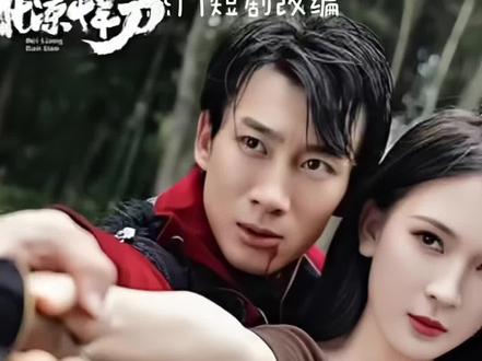 北凉捍刀的海报