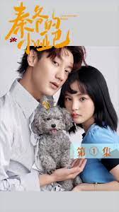 秦爷的小哑妻的海报