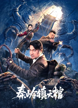 秦岭镇天棺的海报