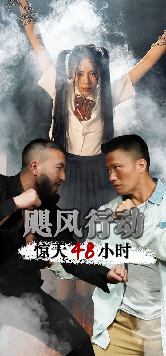 飓风营救惊天48小时的海报