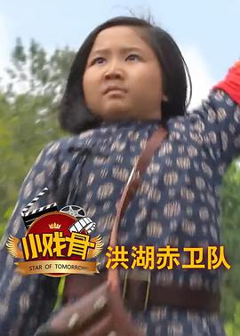 小戏骨：洪湖赤卫队的海报