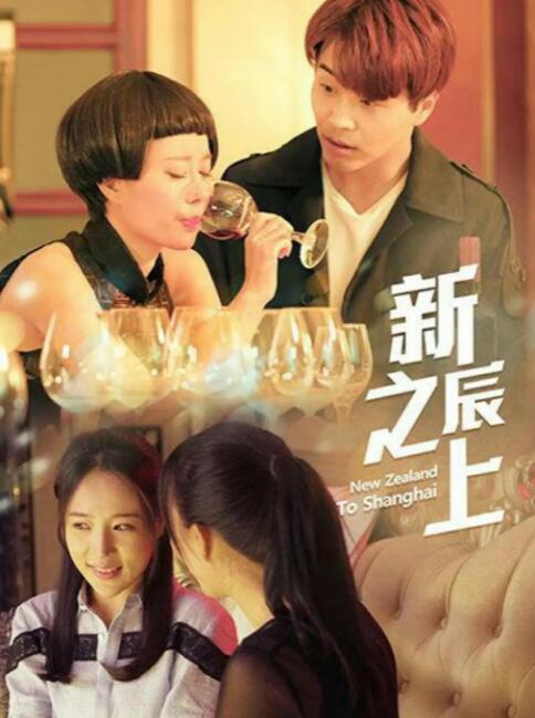 新辰之上的海报