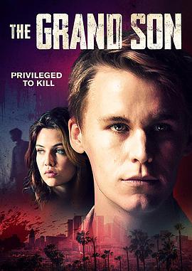 美国宠物的海报