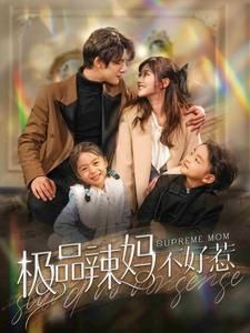 极品辣妈不好惹的海报