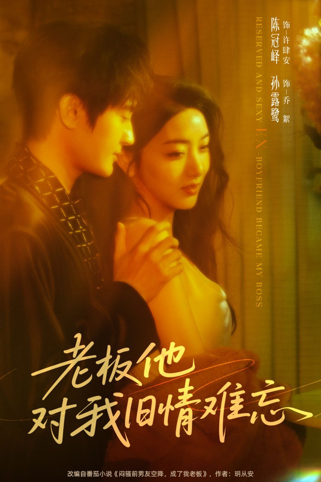 老板他对我旧情难忘的海报