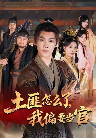 土匪怎么了，我偏要当官的海报