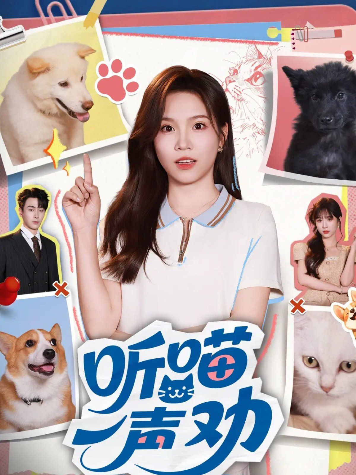 听喵一声劝的海报