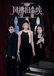 风拂旧尘埃的海报