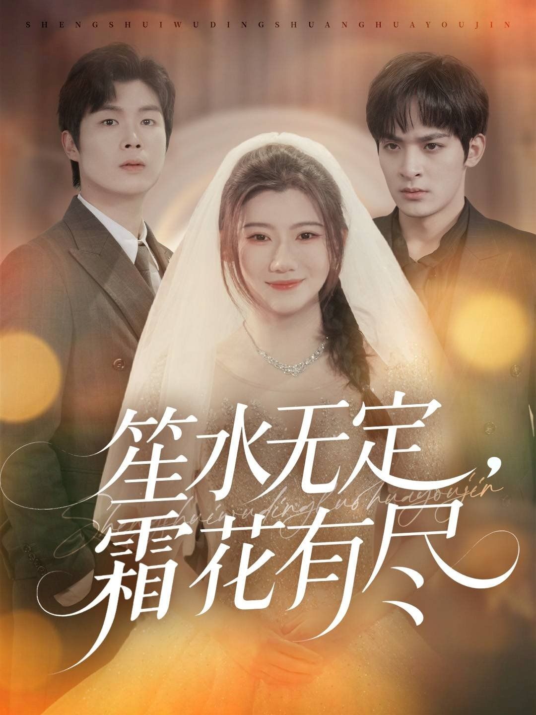 笙水无定，霜花有尽的海报