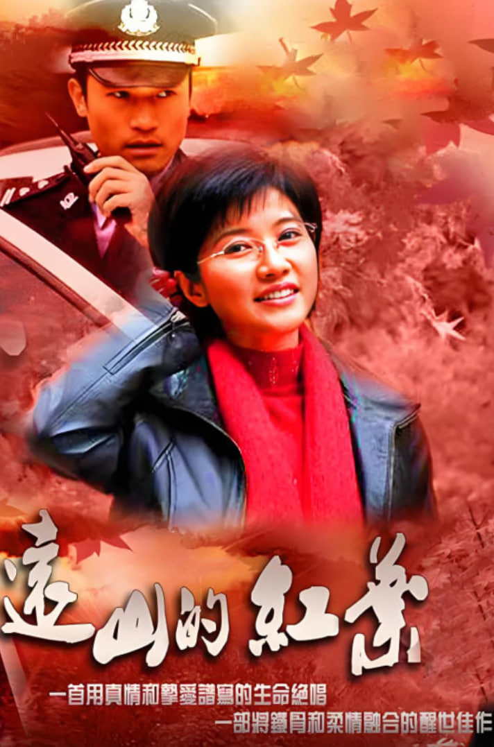 远山的红叶的海报