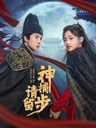 神捕请留步的海报