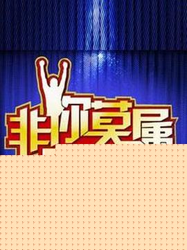 非你莫属的海报