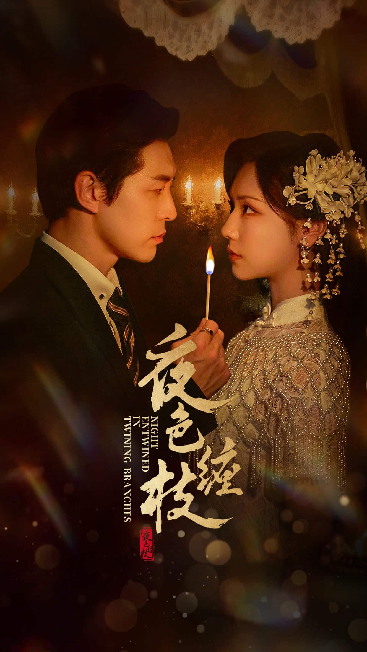 夜色缠枝的海报