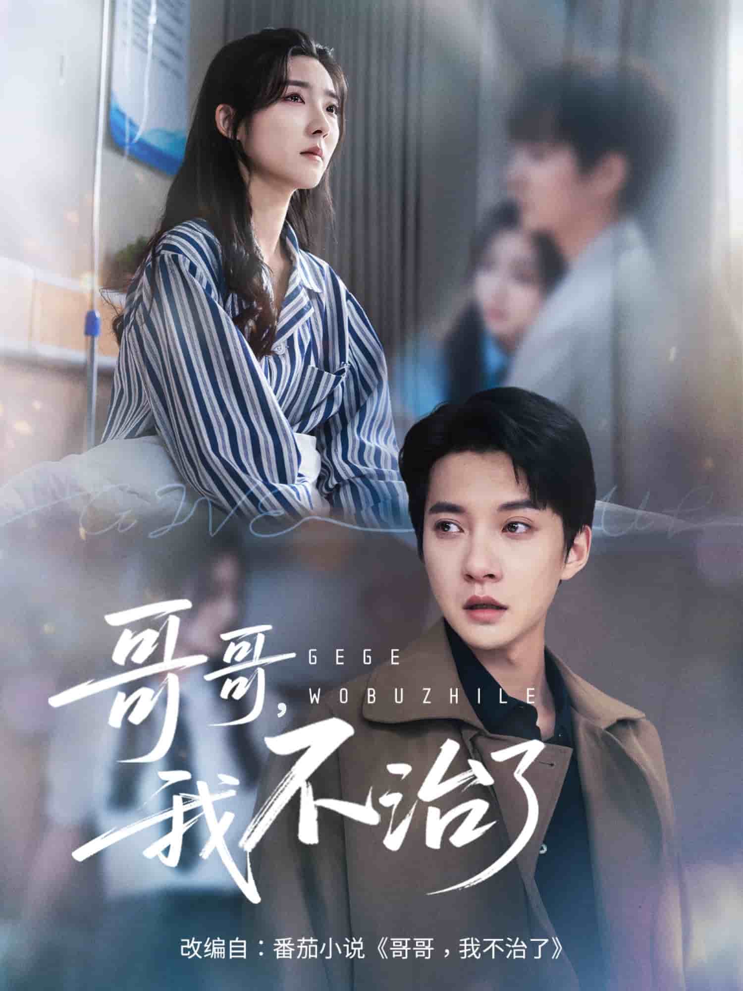 哥哥我不治了的海报